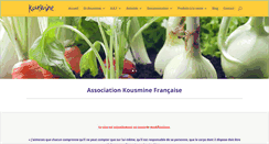Desktop Screenshot of kousmine.fr